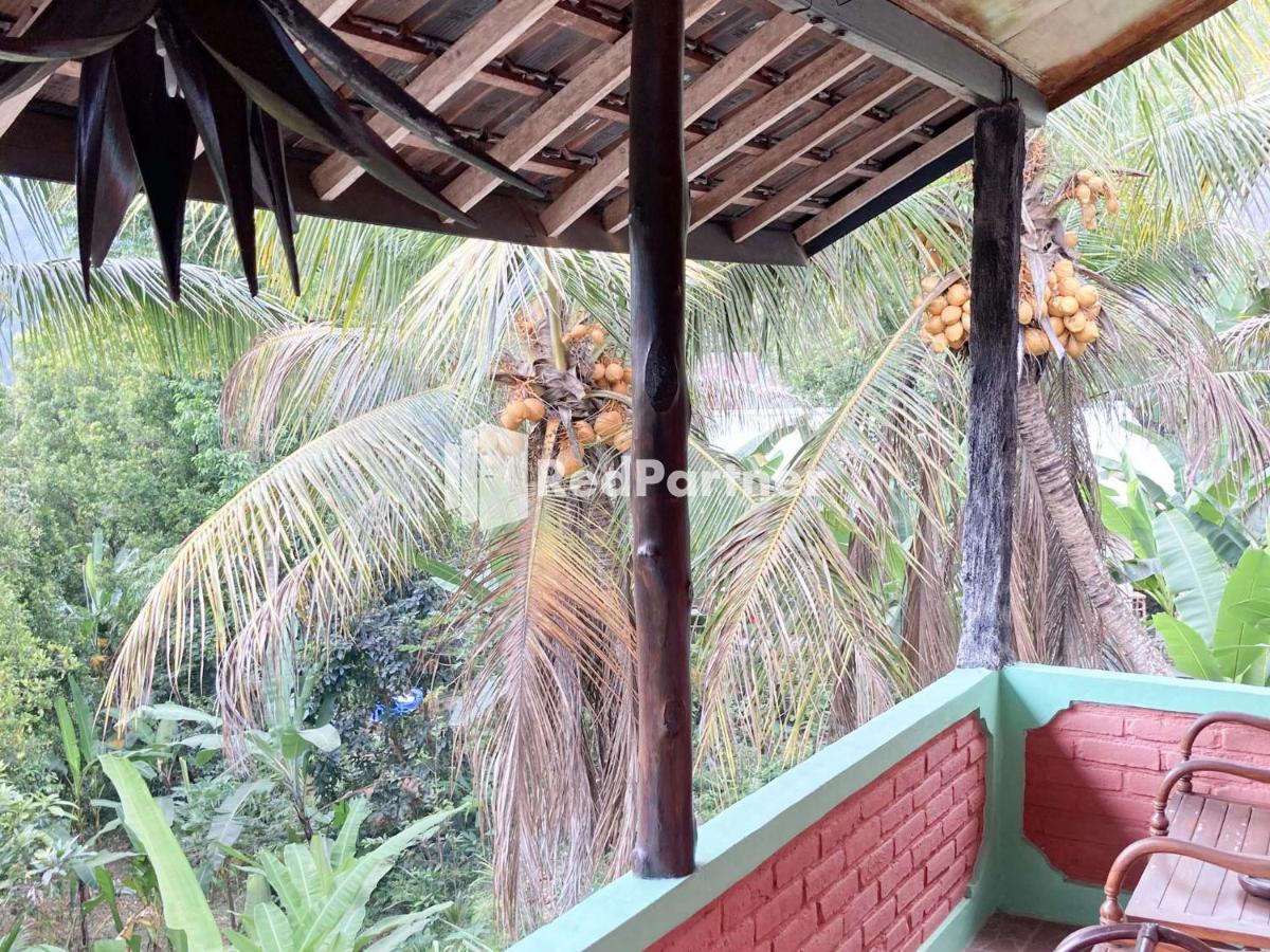 Taman Ayu Homestay Munduk Mitra Reddoorz エクステリア 写真