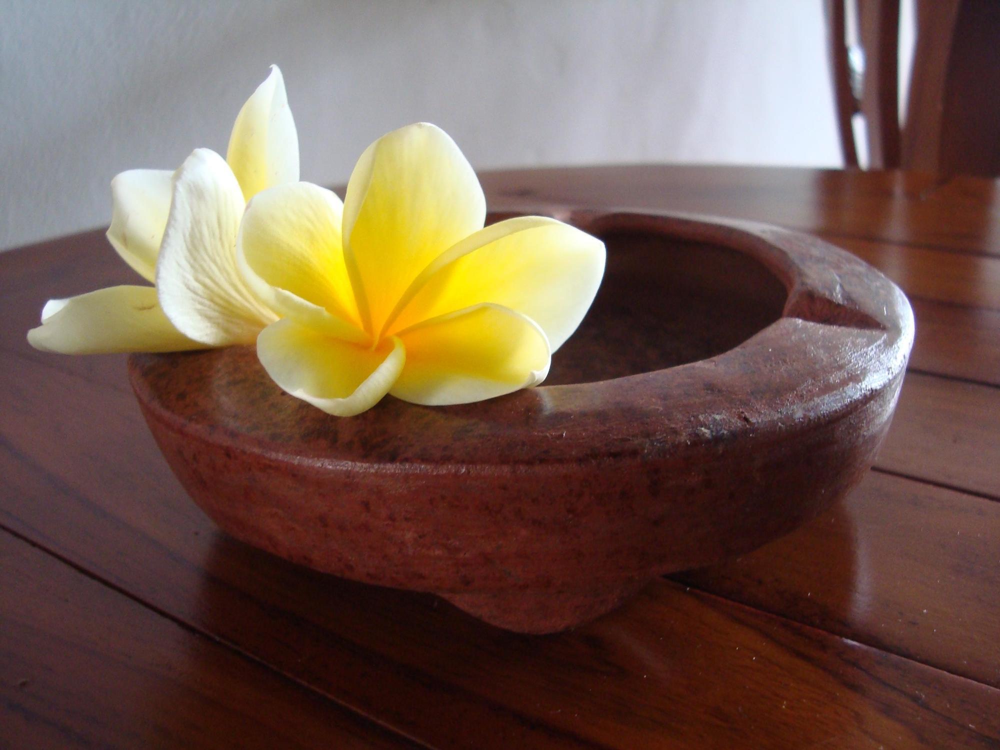 Taman Ayu Homestay Munduk Mitra Reddoorz エクステリア 写真