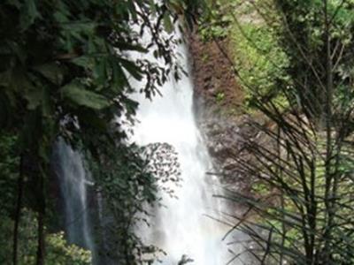 Taman Ayu Homestay Munduk Mitra Reddoorz エクステリア 写真