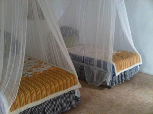 Taman Ayu Homestay Munduk Mitra Reddoorz エクステリア 写真